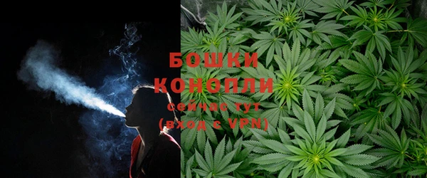Альфа ПВП Богородск