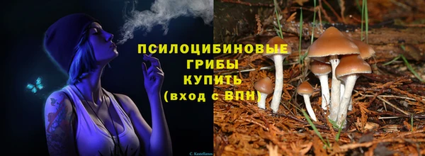 марки lsd Белокуриха